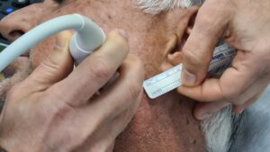 curso ultrassom da pele objetivo